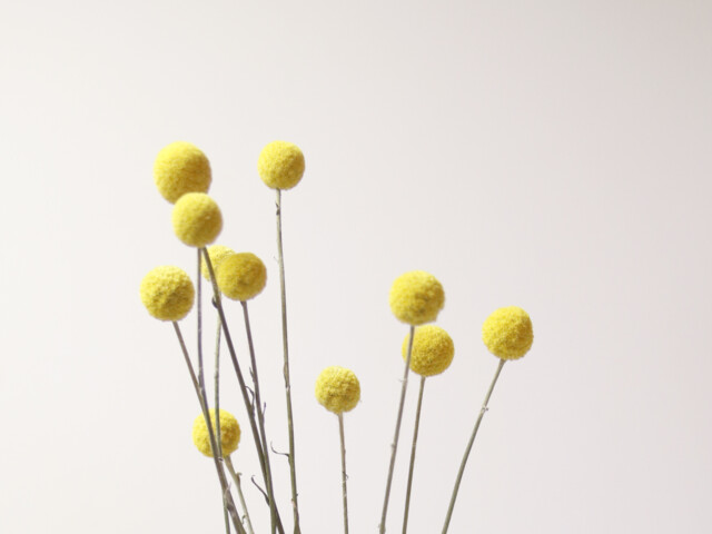 Espace Professionnel