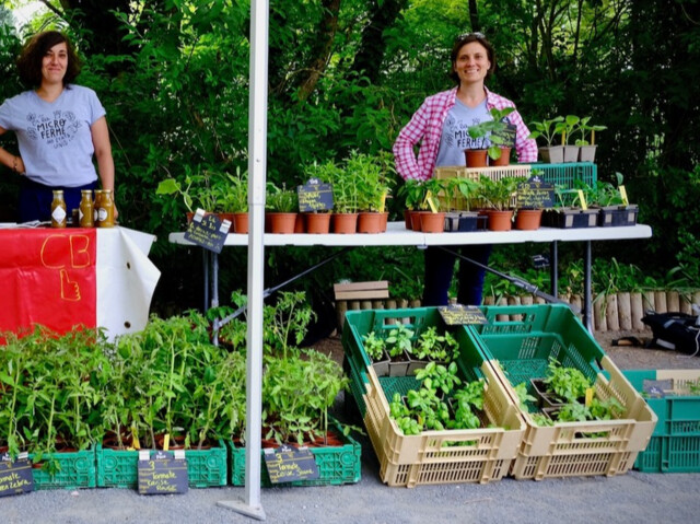 Commande plants - Printemps 2026