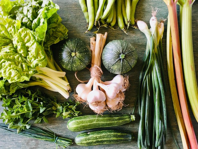 Vente de légumes & œufs BIO du MERCREDI