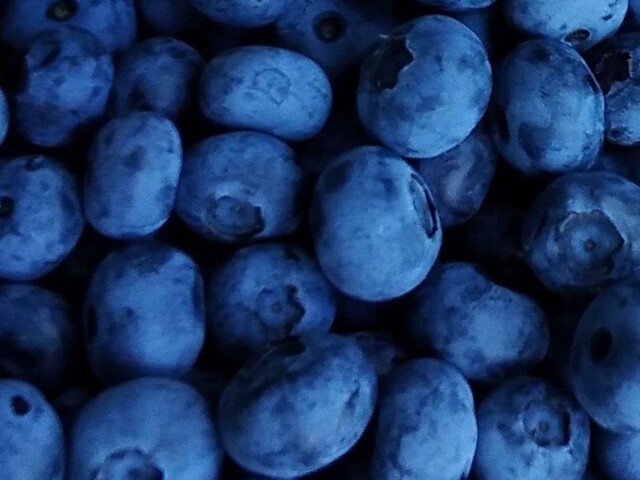Myrtilles