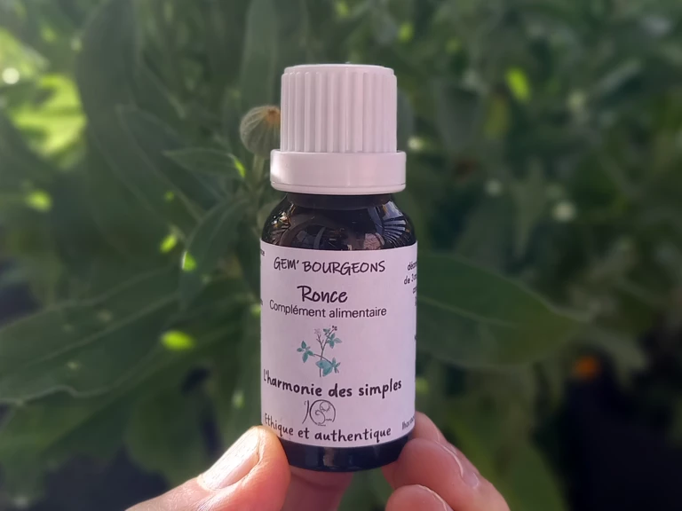 Gem'Bourgeons - Macérats de bourgeons - L'Harmonie des Simples