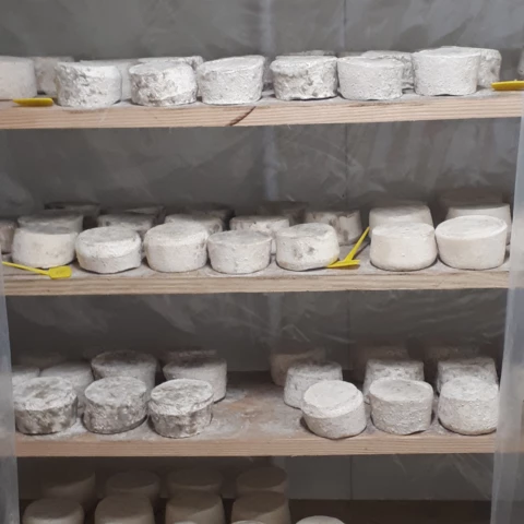 La Ferme de  Cabr'à roque