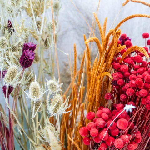 La Fabrique à Moments