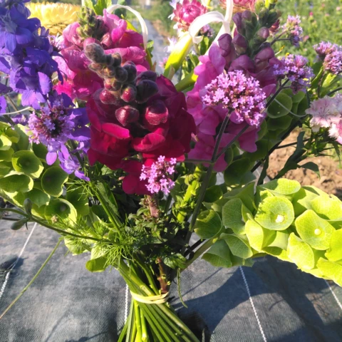 Les Jardins d'Aubenas