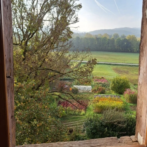 Les Fleurs de Saint-Sernin