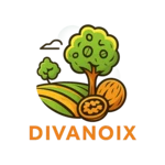 DIVANOIX - Liourdres