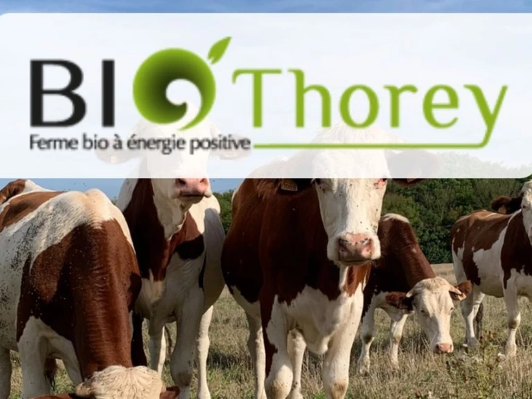 Vente ferme bio Thorey une fois par mois - Aux Jardins des Jeunes Pousses