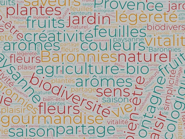 Graine d'Hirondelle... - Graine d'Hirondelle