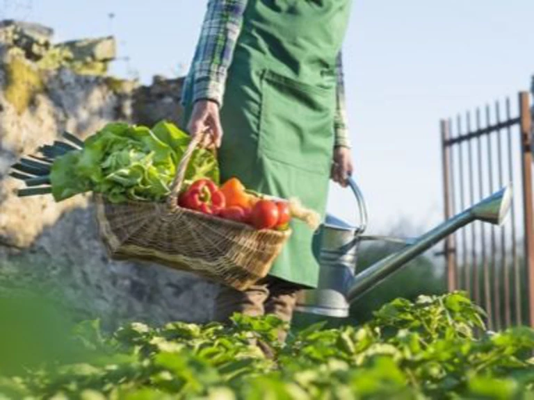 Les avantages de consommer des produits locaux - LA FERME DURBOIS