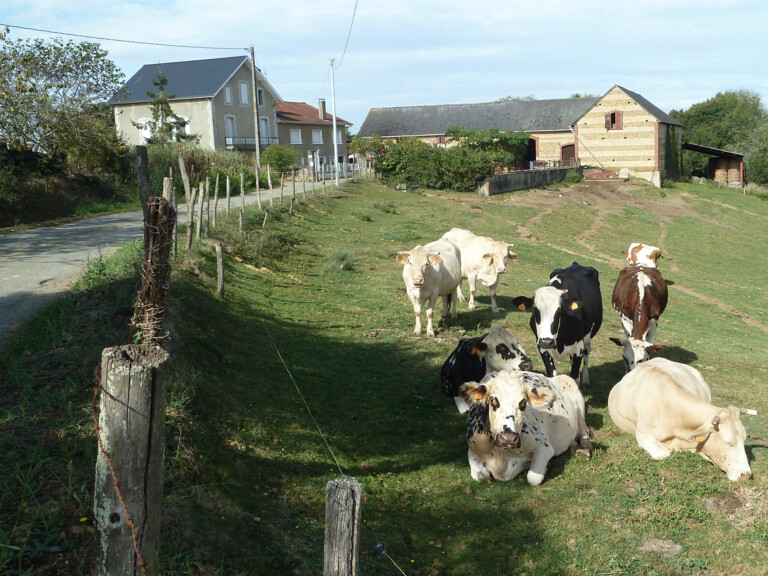 #Une ferme familiale centenaire