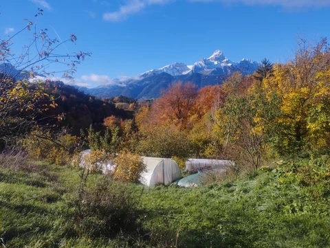 Herbes et Butineries