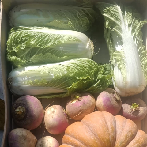 GAEC les petits bregeons