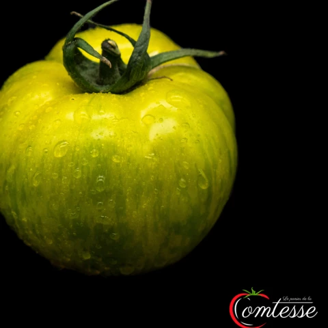 EARL LA COMTESSE