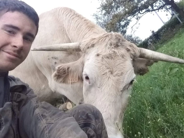 Les allaitantes - LA FERME DU COUEDIC
