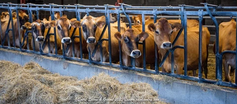 La Ferme des Muses