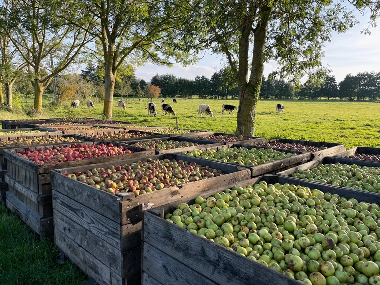 En symbiose avec la terre - Manoirs & Terroirs