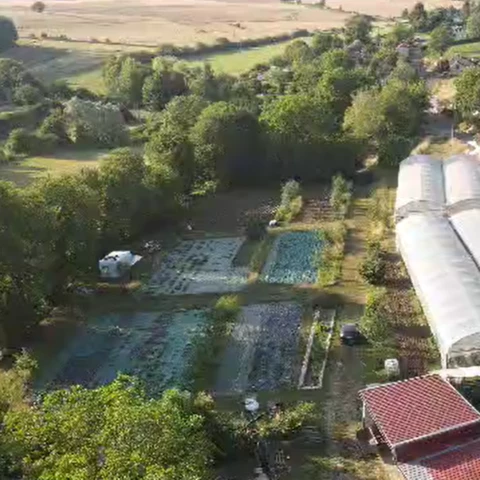 Les jardins et la conserverie de Théophile