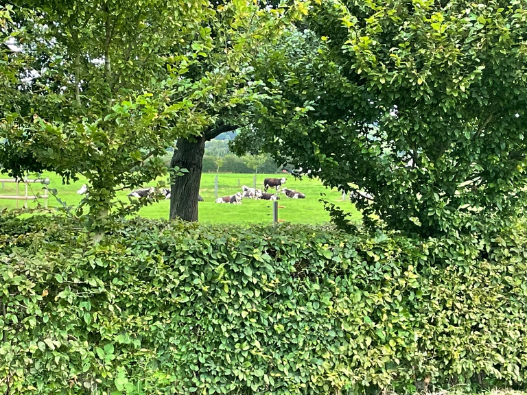 Entretenir - Manoirs & Terroirs