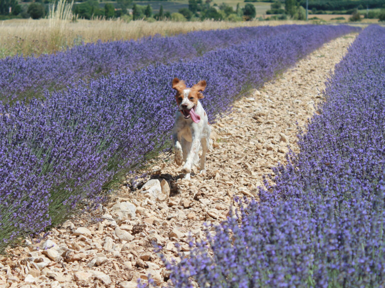 Un site pour être en lien avec VOUS !