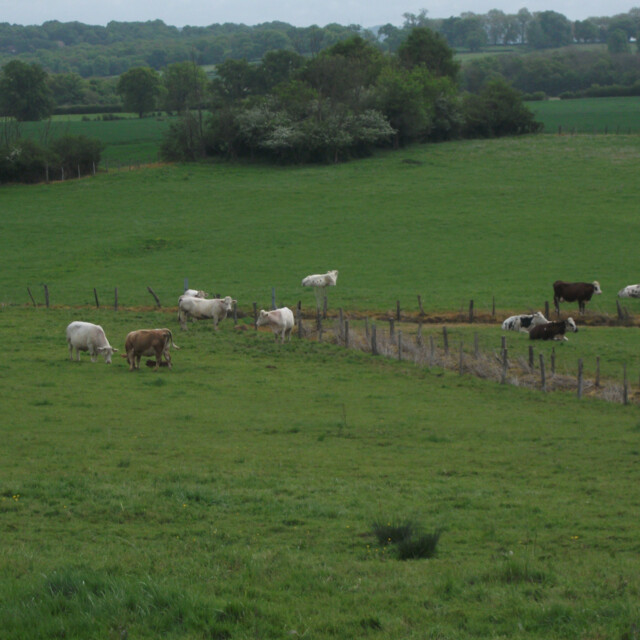 Galerie - La ferme d'Oliveau
