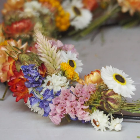 Ferme florale du Salabert