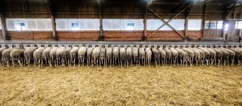 Bergerie de Kroaz Min