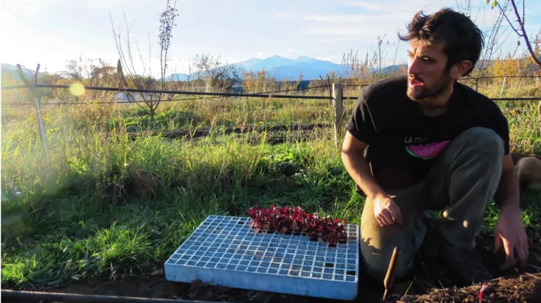 Maraîchage agroforestier sur petite surface - Entre les arbres!