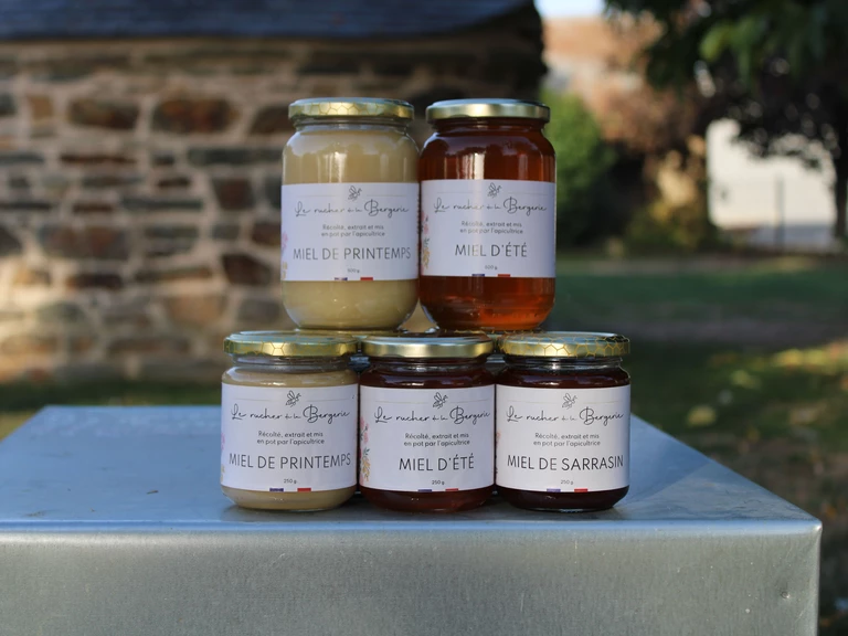 Nos miels artisanaux de Bretagne : printemps, été et sarrasin - Le rucher de la Bergerie