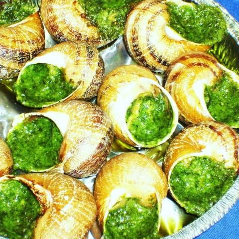 Les escargots de Montvendre
