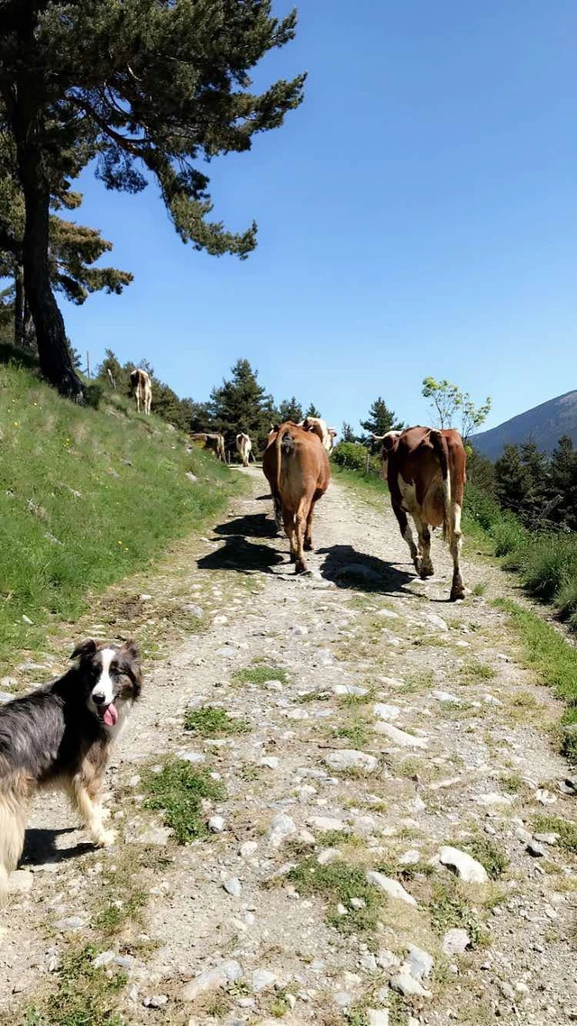 Galerie - Ferme Pérarnaud