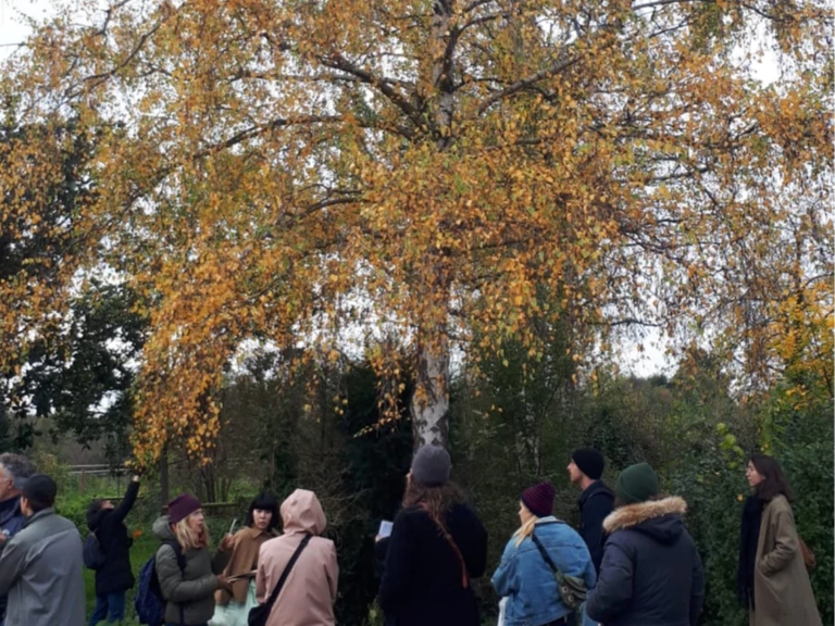 Atelier : Promenade autour des arbres - Ferme Florale Urbaine