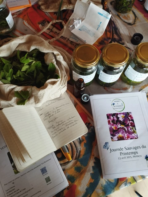 Herbes et Butineries