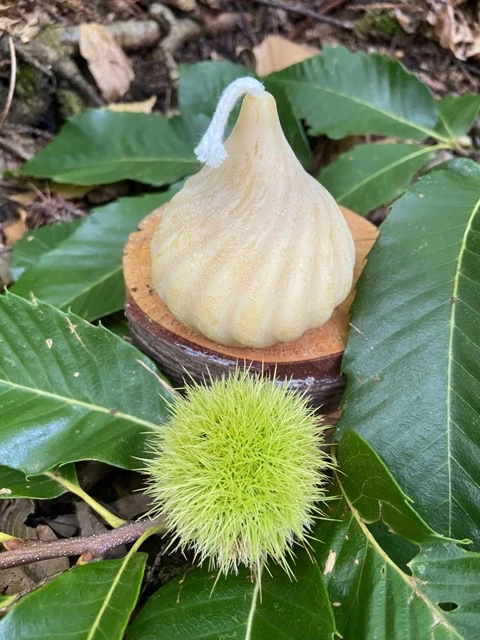 SAVEURS DE NOS VALLÉES