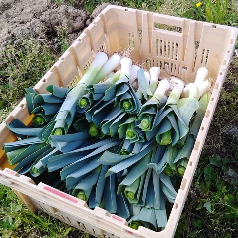 Les jardins de 13 vents