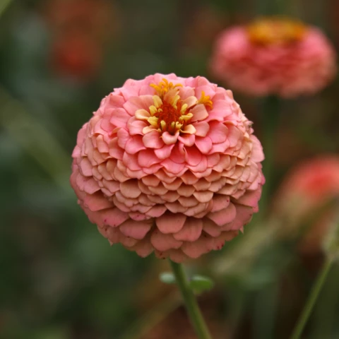 Ferme de l'Héritier