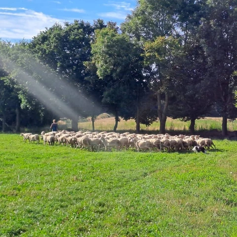 Bergerie de Kroaz Min