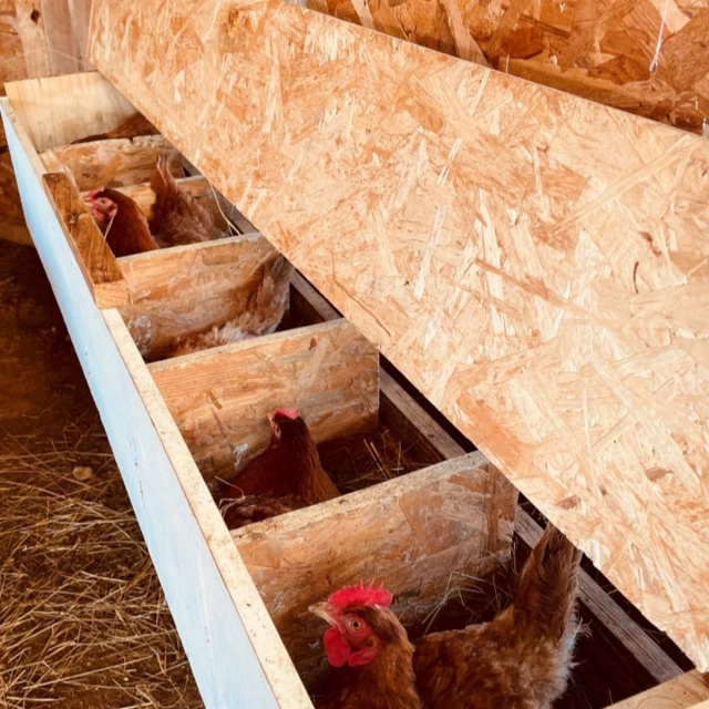 Galerie - La ferme du Guiros