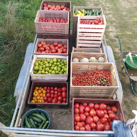 La Ferme des Tilleuls