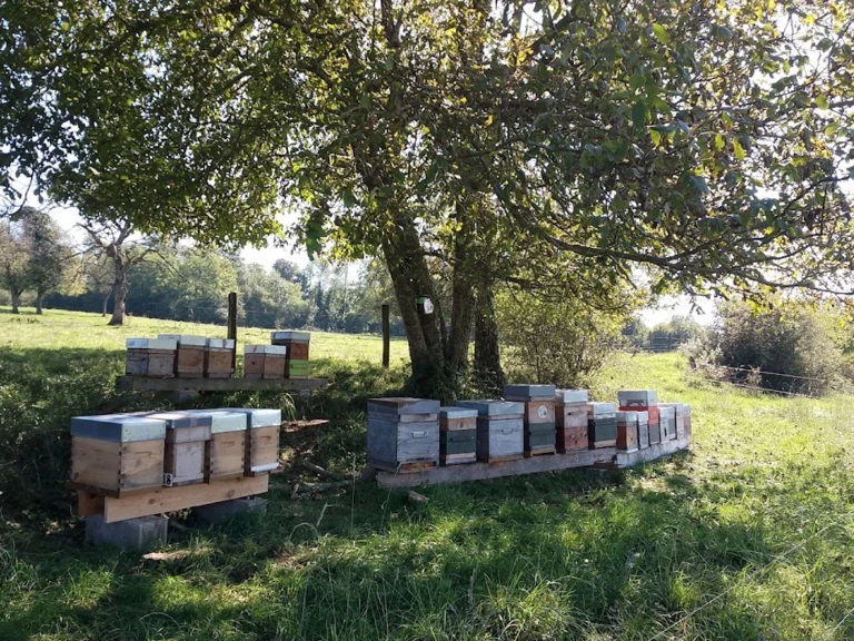 Un miel de qualité - La Griffe De l'Ours