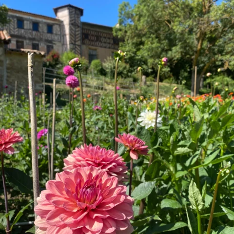 Les Fleurs de Saint-Sernin