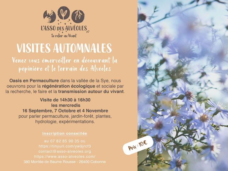 Les balades apprenantes - L'Asso des Alvéoles