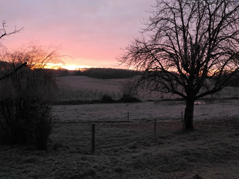 Une ferme où tout se complète - Ferme de Marouty