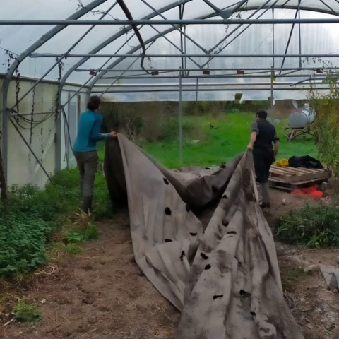 GAEC les petits bregeons