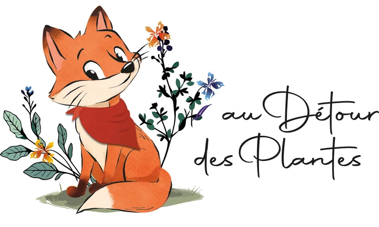 Partenaires Revendeurs