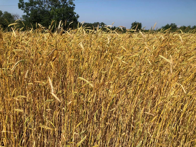 La culture de la terre - MOULIN TRACOL