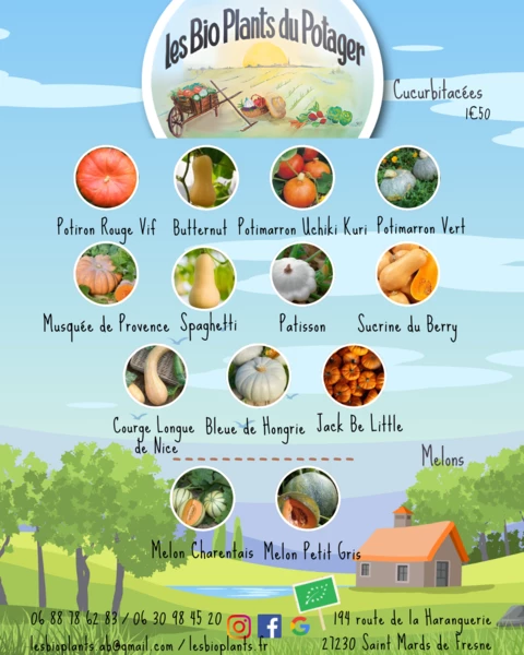 Les Bio Plants du Potager