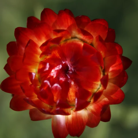 Ferme de l'Héritier