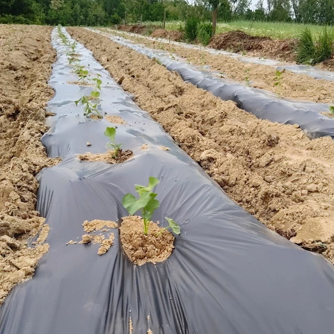 Les jardins de 13 vents
