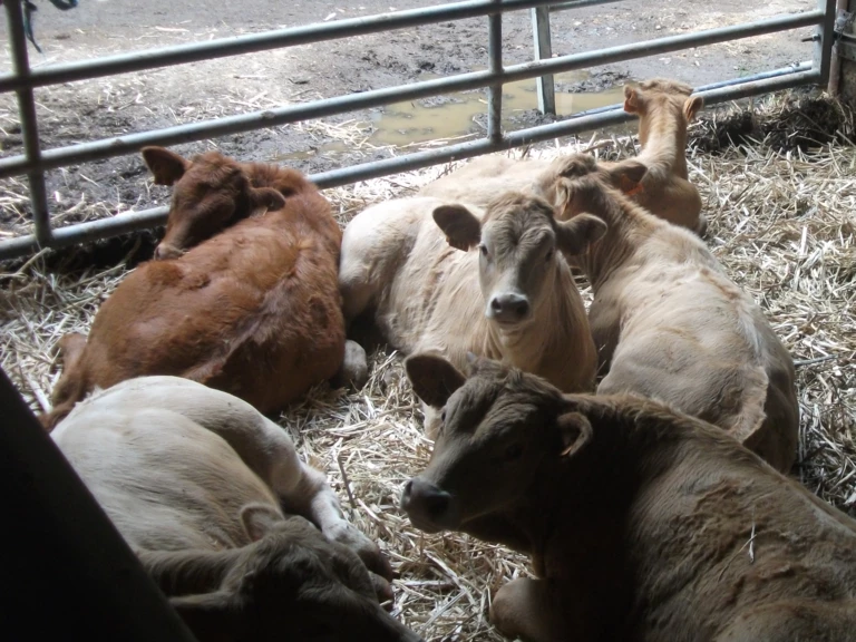 historique de la ferme