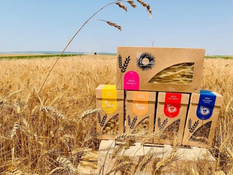 Les Nominettes